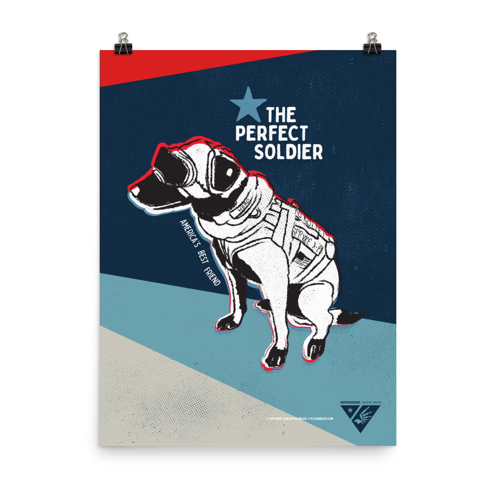 18"x24" Perfect Soldier Poster